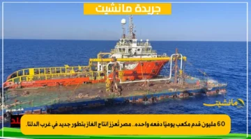 60 مليون قدم مكعب يوميًا دفعة واحدة.. مصر تُعزز إنتاج الغاز بتطور جديد في غرب الدلتا. 1